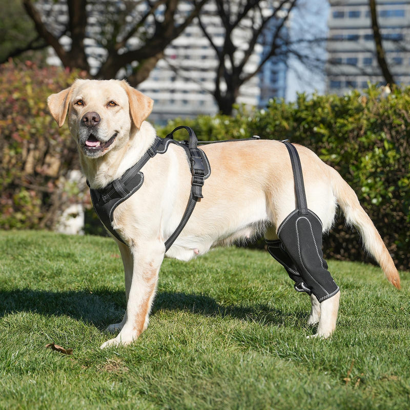 Dog Joint Knee Metal Hip Brace Support Full Body Stabilize Joints Suitable for 4 Limbs with Puppy Hip Traction Rope Extra Large Sizes XL