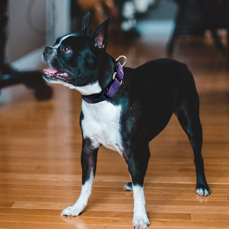 Hikiko Martingale Collar for Dogs Reflective Nylon Dog Collar with Quick Release Buckle Adjustable Training No Slip Dog Collar (Large, Purple) Large