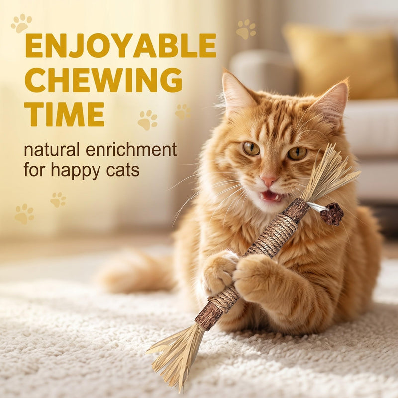 4 catnip sticks, chew sticks for cats for dental cleaning, indoor cat sticks, against bad breath and tartar, for cat grooming
