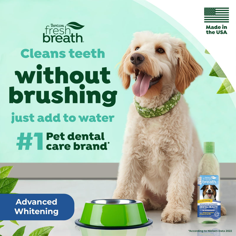 TropiClean Fresh Breath Dog Teeth Cleaning – Dog Dental Care for Bad Breath - Breath Freshener - Water Additive Mouthwash – Helps Remove Plaque Off Dogs Teeth, Advanced Whitening, 473ml 473 millilitre (Pack of 1) - PawsPlanet Australia