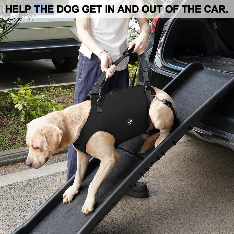 COODEO Dog Sling: Support & Rehabilitation Harness, Adjustable, Padded and Breathable, for Older, Disabled Dogs with Joint Problems or Stability Loss (Black, XL) Black