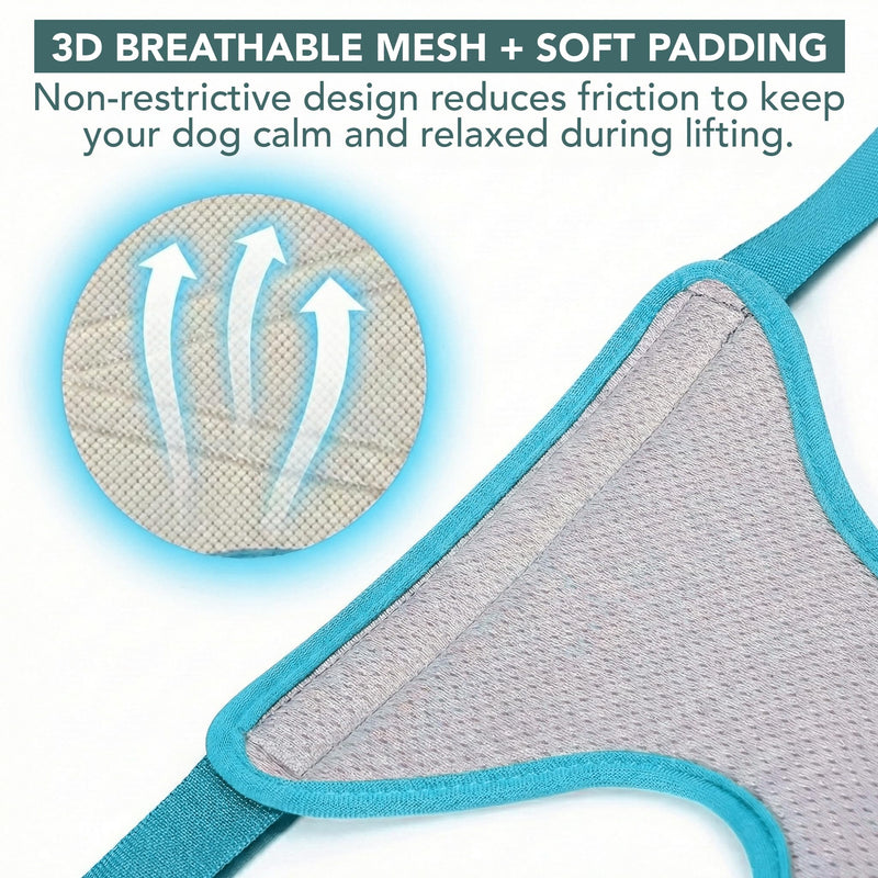 Haminway Pet Grooming Hammock – Medium Size, 3D Air-Mesh Dog Grooming Sling for Nail Trimming, Bathing & Ear/Eye Care for 16–40 lbs Pets - PawsPlanet Australia
