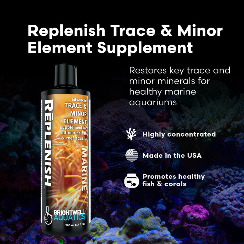 Brightwell Aquatics Rēplenish – Premium Trace & Minor Element Supplement for Marine Aquariums, Supports Healthy Fish, Corals, and Invertebrates, 250 ml 250-ml - PawsPlanet Australia