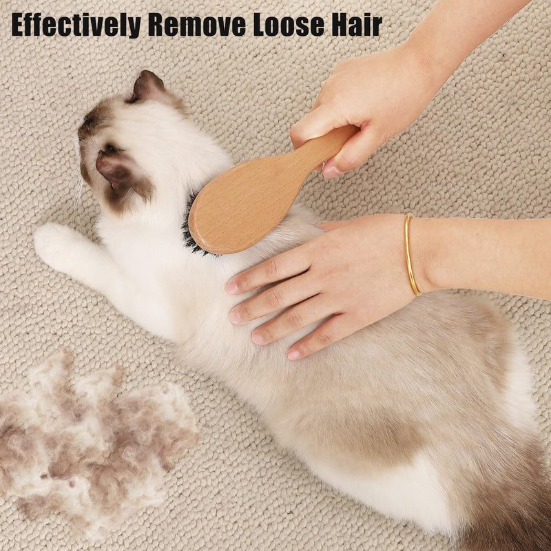 Boar Bristle Cat Brush with Wooden Handle, Soft and Gentle, Reduce Shedding, Make Coat Soft, Smooth and Shinny, Daily Grooming Tool for Short Haired Cats, Kitten Wood - PawsPlanet Australia