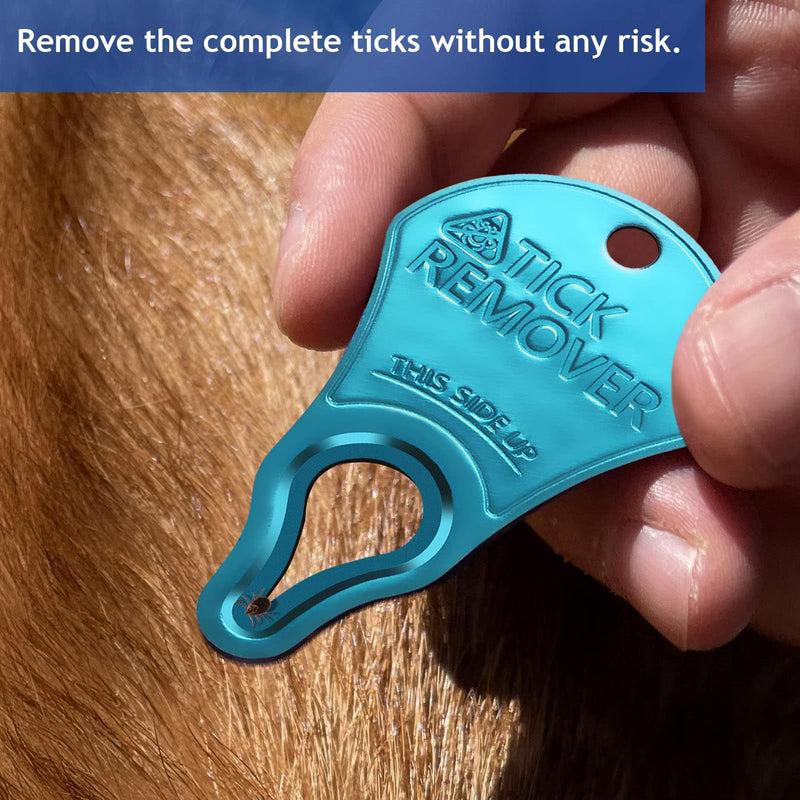 3 Pack Tick Remover Tool Portable, Tick Removal for Pet and Humans, Safe and Reliable, Pain-Free, Essential Tools for Outdoor Activities - PawsPlanet Australia
