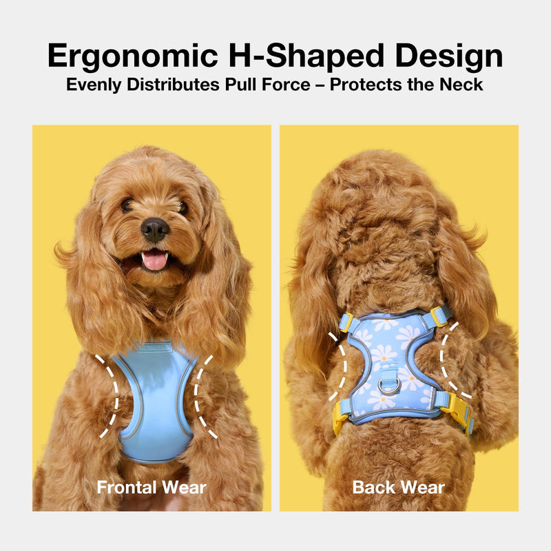VETRESKA Dog Harness for Small Medium Dogs No Pull, Puppy Harness and Leash Set Adjustable Reflective No Choke Pet Vest Easy Control Harness for Dogs/Cats with Anti-Tangle Dog Leash, Daisy S - PawsPlanet Australia