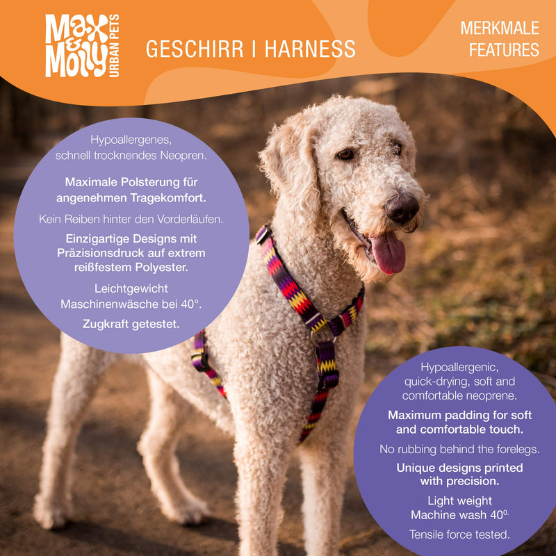 Max & Molly H Comfort Fit Dog Harness – Soft Neoprene Padding, Easy Step-In Design, Durable Metal Parts, Dual D-Rings for Enhanced Control – Perfect for Secure, Comfortable Walks Extra Small - PawsPlanet Australia