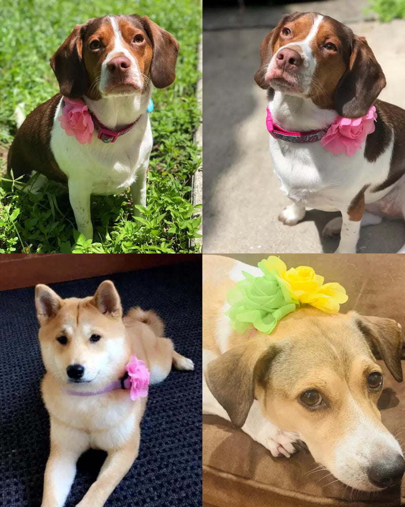 PET SHOW Valentines Small Dogs Flower Charms Slide Collar Accessories for Medium Large Dogs Cat Puppies Rabbit Pigs Collars Bows Grooming Supplies D 3.4"