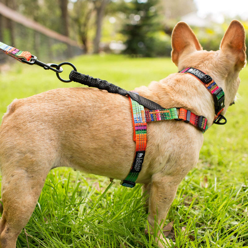 Leashboss No Pull Dog Harness, Easy Walk for Small, Medium, and Large Pets, Reflective with Rear and Front Clip Attachment Orange - Blanket - PawsPlanet Australia