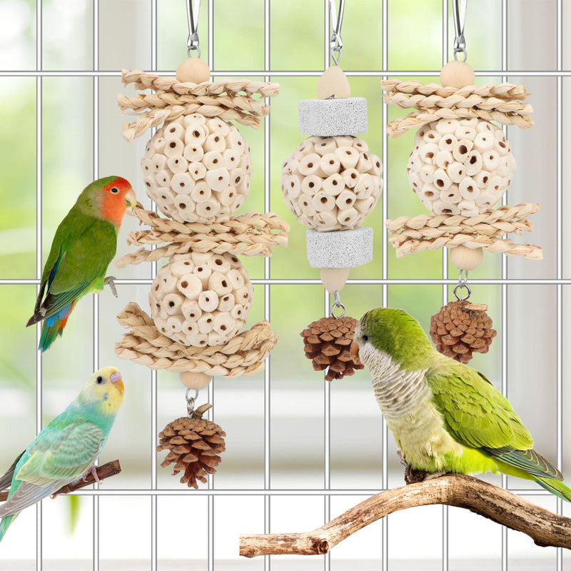 Wontee Bird Toys 3 Pack Parrot Foraging Hanging Toys Sola Ball Natural Nuts Chew Toys for Cockatiels Conures Parakeets Budgies Senegal (3 Pack) - PawsPlanet Australia