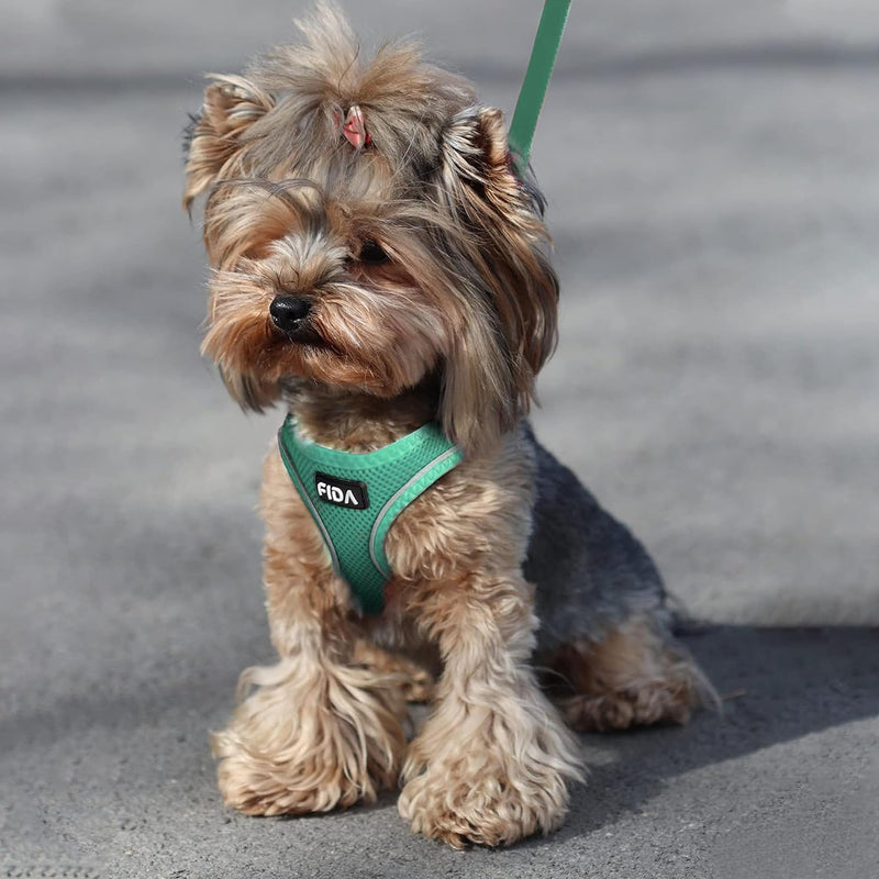 Fida Cat Harness and Leash Set for Walking Kitten and Puppy, Escape Proof Kitten Harness with Breathable Lightweight Soft Mesh, Adjustable Reflective Step-in Design. (XS, Green) XS (Neck:12.2"-13"; Girth:14.2"-16.1") Turquoise - PawsPlanet Australia