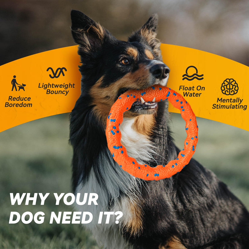 Dog Ring Toy, Tough Dog Toy, Dog Ring Chew Toy for Aggressive Chewers, Indestructible Dog Flying Discs for Throwing Catching, Water Floating Dog Training Ring for Medium Large Breeds, Orange Orange - φ9 inches - PawsPlanet Australia