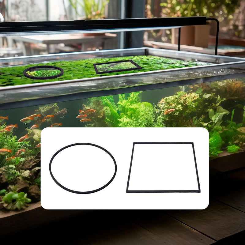 OIIKI 10 PCS Fish Feeding Rings Sets, Floating Aquarium Plant Corral, Floating Plant Rings, Oval and Square Fish Feeding Rings, Fish Tank Aquarium Accessories for Fish Tank, Floating Plants - Black black-oval,square - PawsPlanet Australia