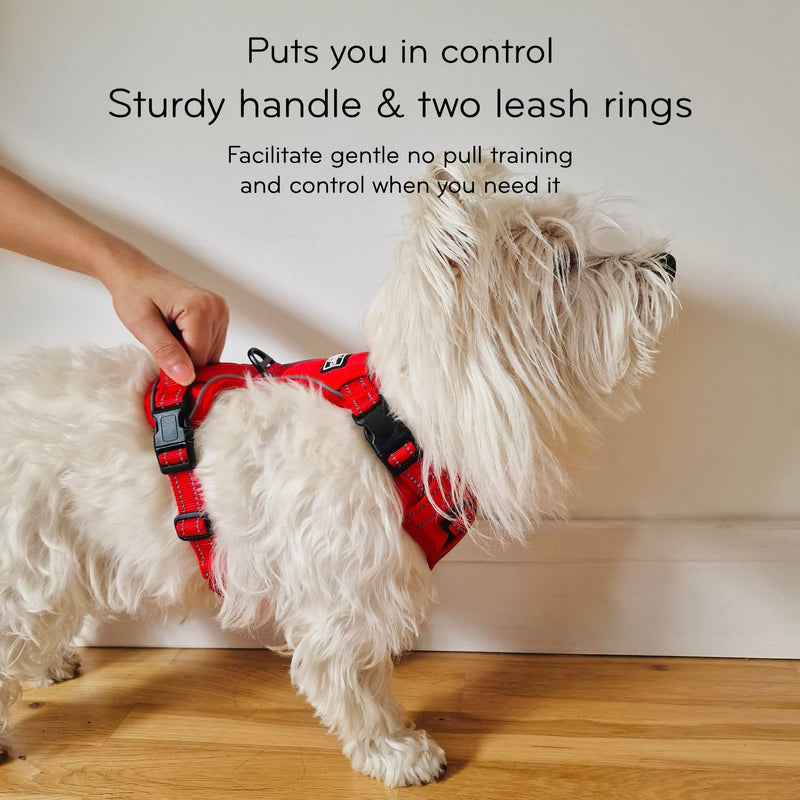 Barkridges® TruFit Comfort Dog Harness Adjustable Easy to Wear | No Pull Training | Chafing-Free | Safety Reflective | Comfortable Small Medium Large (Red, XS - Regular Fit) Red - PawsPlanet Australia