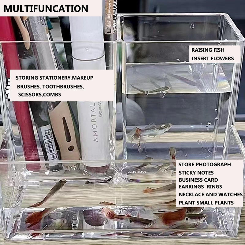 Mini Clear Acrylic Fish Tank Kit,Multifunctional Desk Aquarium Set or Pen Holder Makeup Brush Holder,Aquarium Micro Landscape Box with Tools,2 Pieces 3 compartment desk aquarium - PawsPlanet Australia