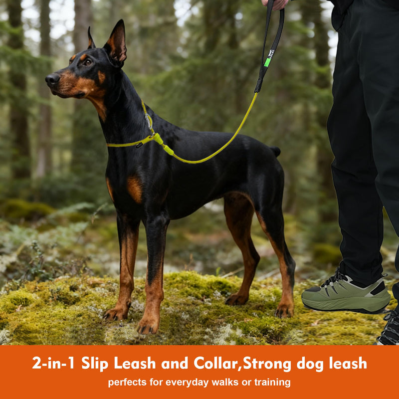 Slip Lead Dog Leash,Training Leash,No-Pull Slip Lead and Collar,Heavy Duty&Durable,4ft Thin Slip Lead for Small,Medium and Large Dogs (Blue1.2M Long) 4 ft BLUE - PawsPlanet Australia