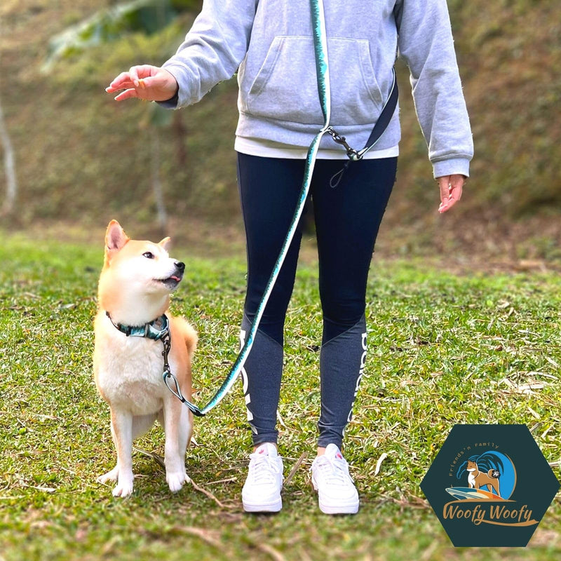 6in1 Multifunctional Dog Leash, Hands Free Dog Leash, Adjustable Length 6'7", Forest Print, (S/M)-Width 3/4", for Small and Medium Dog - PawsPlanet Australia