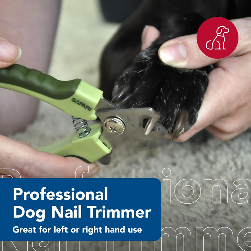 Coastal Pet Safari Professional Dog Nail Trimmer - Pet Nail Clippers for Large Dogs - Safety Stop & Non-Slip Grip - Large - 6.6" x 2" M-L - PawsPlanet Australia