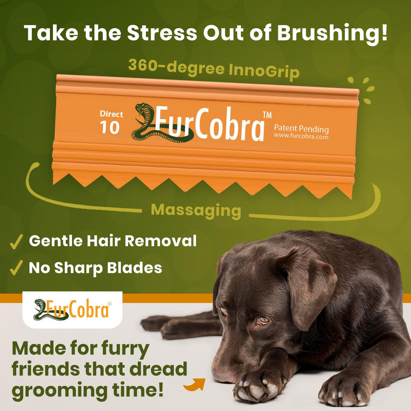 Direct 10 Pet Grooming Brush 3.54" - Gentle, No Metal Blades, Soft Dog, Cat Brush - Train Pets to be Brushed - Portable, Easy To Use Slicker Pet Grooming Tool for Dog, Cat, Puppy, Kitten Hair - PawsPlanet Australia