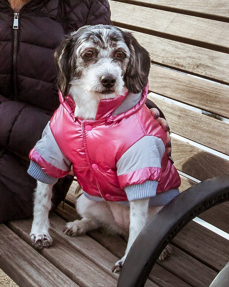 Pet Life Sporty Vintage Aspen Ski Winter Dog Coat with snap-Off Removable Hood - Dog Jacket Features 3M Thinsulate Insulation Warming Technology - Dog Clothes fits Small, Medium and Large Dogs Pink - PawsPlanet Australia