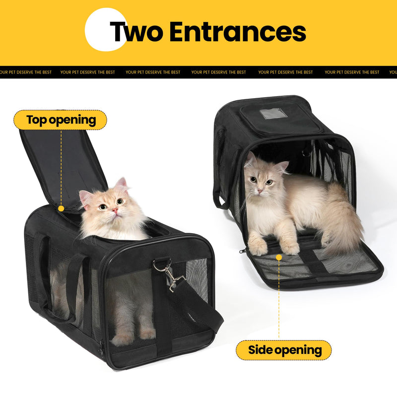Cat Carrier Airline Approved, Soft-Sided Dog Carrier with Inner Safety Leash, Pet Transport Carrier for Small-Medium Cats Puppies up to 15 Lbs, Collapsible Travel Kitten Carrier Bag -BlackM Medium Black - PawsPlanet Australia