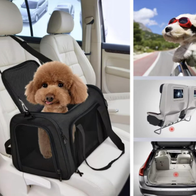 Movelo, Pet Carrier with Two Entrances – Top & Side Opening Soft-Sided Travel Carrier for Cats & Small Dogs up to 25?lbs – Airline Approved, Mesh Ventilation, Removable Pad & Shoulder Strap - PawsPlanet Australia