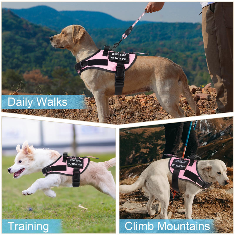 No Pull Dog Harness Small Medium Sized Dog, Service Dog Harness and Leash Set with 4 Patches, Adjustable Easy Walk Dogs Harnesses with Handle, Dogs Vest Harnesses French Bulldog, Chihuahua(Pink, M) Pink - PawsPlanet Australia