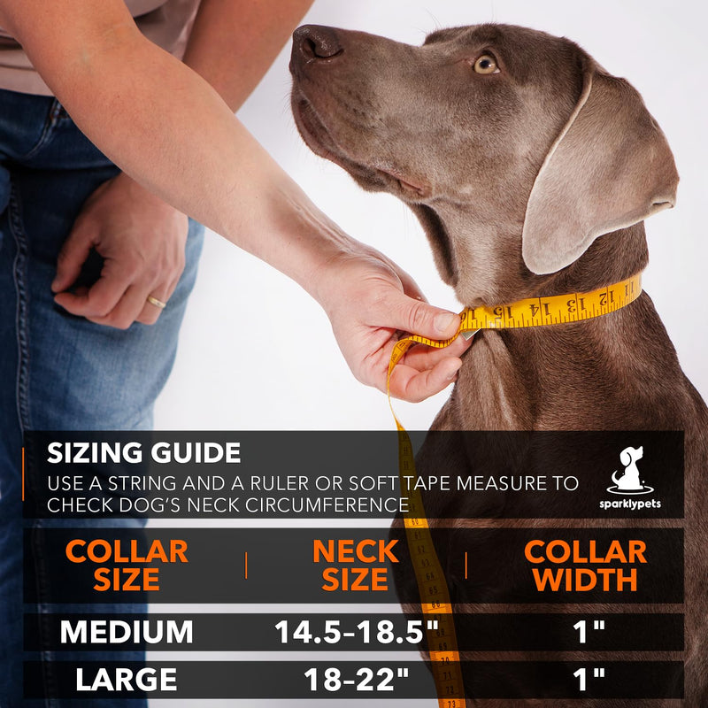 SparklyPets Heavy Duty Dog Collar with Handle for Medium and Large Dogs – Professional Collar with Reflective Stitches, Soft Handle & Nickel-Plated Buckle (Large (18"~22"), Blue) Large (18"~22") - PawsPlanet Australia