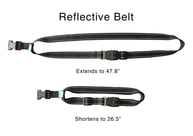 Running Leash for Dogs - Hands Free Dog Leash for Training, Hiking & Walking - Non Bungee for More Control - Around The Waist Dog Leash Belt for Small Medium or Large Dogs - PawsPlanet Australia