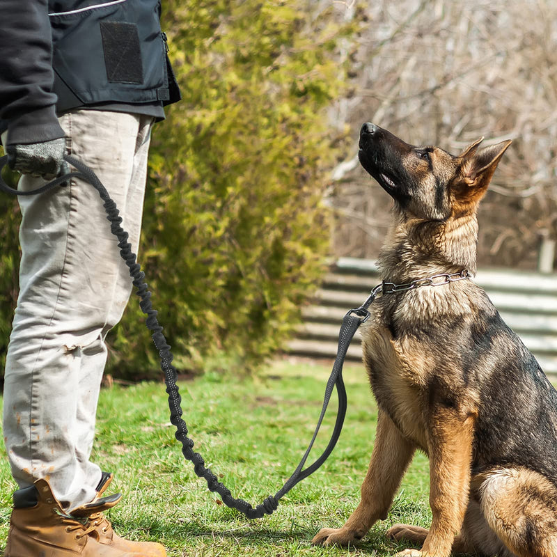 Rabbitgoo Bungee Dog Lead for Medium and Large Dogs, Anti Pull Tactical Leash with 2 Padded Traffic Control Handles for Training and Walking, Quick Lock and Release, Black, 114-158cm 114-158 cm (Pack of 1) - PawsPlanet Australia