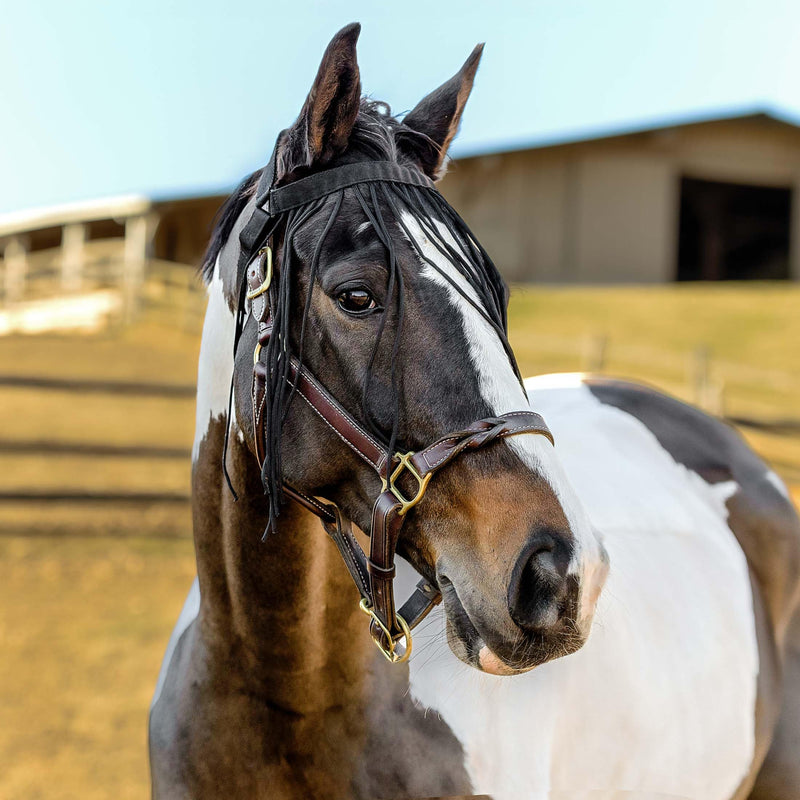 Horze Simple Lightweight Insect and Fly Veil for Sensitive Horses - No Halter Needed - Black - M
