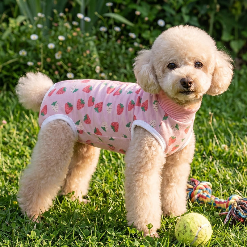 Dog Surgery Recovery Suit, Surgical Bodysuits Abdominal Wounds Protector for Female Male, Dog Cone E-Collar Alternative, Onesie Suits Prevent Licking for Small, Medium Puppy (Strawberry, M) Strawberry