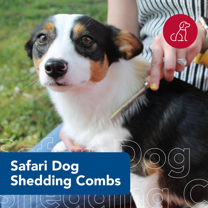 Coastal Pet Safari Dog Shedding Combs - Dog Shedding Brush for Dogs with Short and Long Hair - Different Sized Teeth for Undercoat Rake - 7" x 1.5" (Pack of 2) 7" x 1.5" (Pack of 2) - PawsPlanet Australia