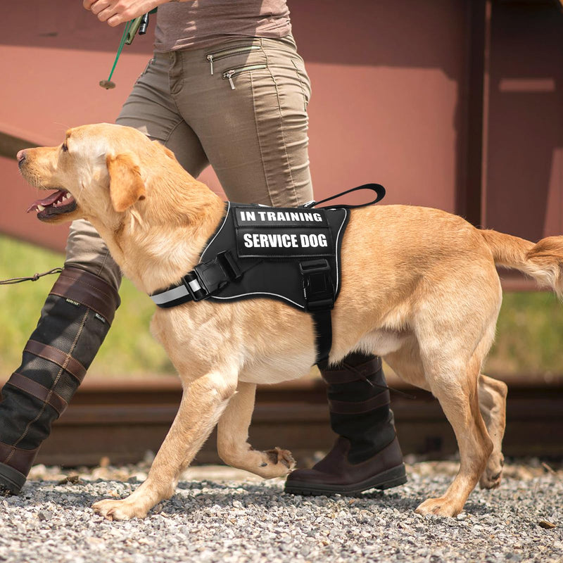 Service Dog Vest Harness and Leash Set+10 Patches,No Pull&Easy Walk Reflective Dog Harness with Soft Padded Handle for Training/Everyday,Fit Small/Medium/Large/Extra-Large Dogs(Black XL) Extra-large Black - PawsPlanet Australia