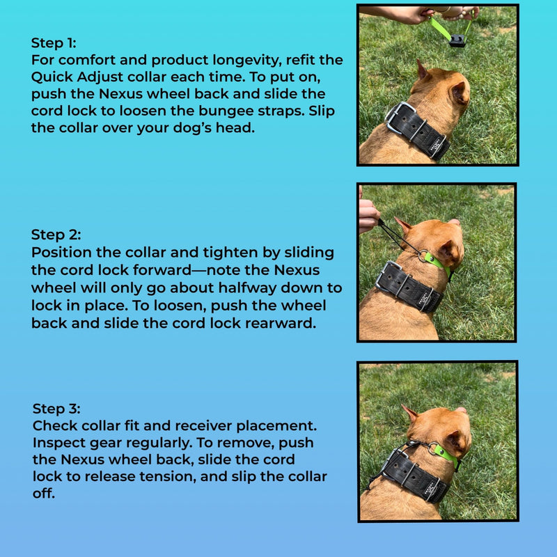 SparkDog Collars 1” Quick Adjust E-Collar Replacement Strap – Waterproof & Durable – Fits Dogtra & Most Brands – Made in USA for Working Dogs, Hunters & Pet Owners (Bright Green, Standard Beta) Bright Green - PawsPlanet Australia