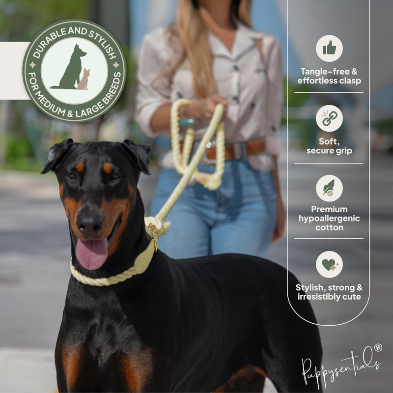 Braided Cotton Rope Dog Leash for Medium & Large Dogs – Enjoy Tangle-Free Walks with Soft Comfortable Grip & Reliable Control – Durable for Daily Walks, Training & Special Moments - Warm Cream - PawsPlanet Australia