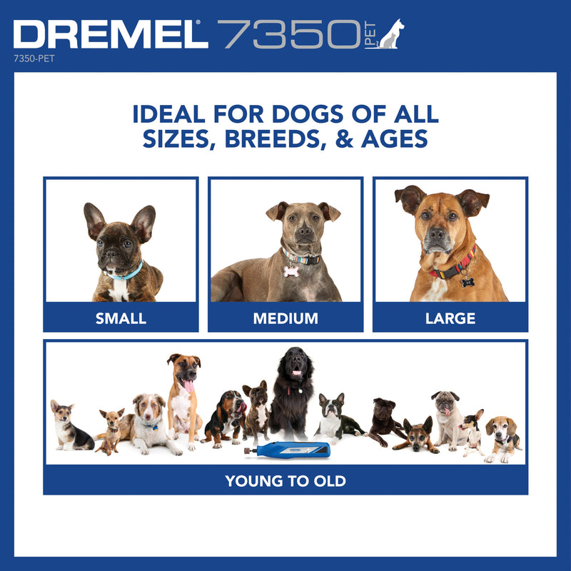 Dremel 7350-PET 4V Pet & Dog Nail Grinder, Professional Pet Grooming Kit - Works on Large, Medium, Small Dogs & Cats & 408 1/2-Inch Sander Bands, Coarse, 6 Pack, Purple New Model Tool + Sander Bands - PawsPlanet Australia