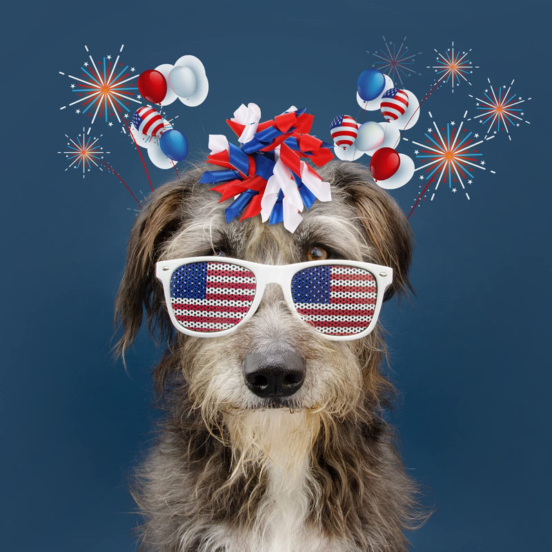 40 Pieces 4th of July Dog Cat Hair Bows Independence Day Puppy Hair Bows Red Blue White American Flag Patriotic Dog Grooming Bows Ties with Star Rubber Bands Elastic Dog Accessories for Pets Colorful - PawsPlanet Australia