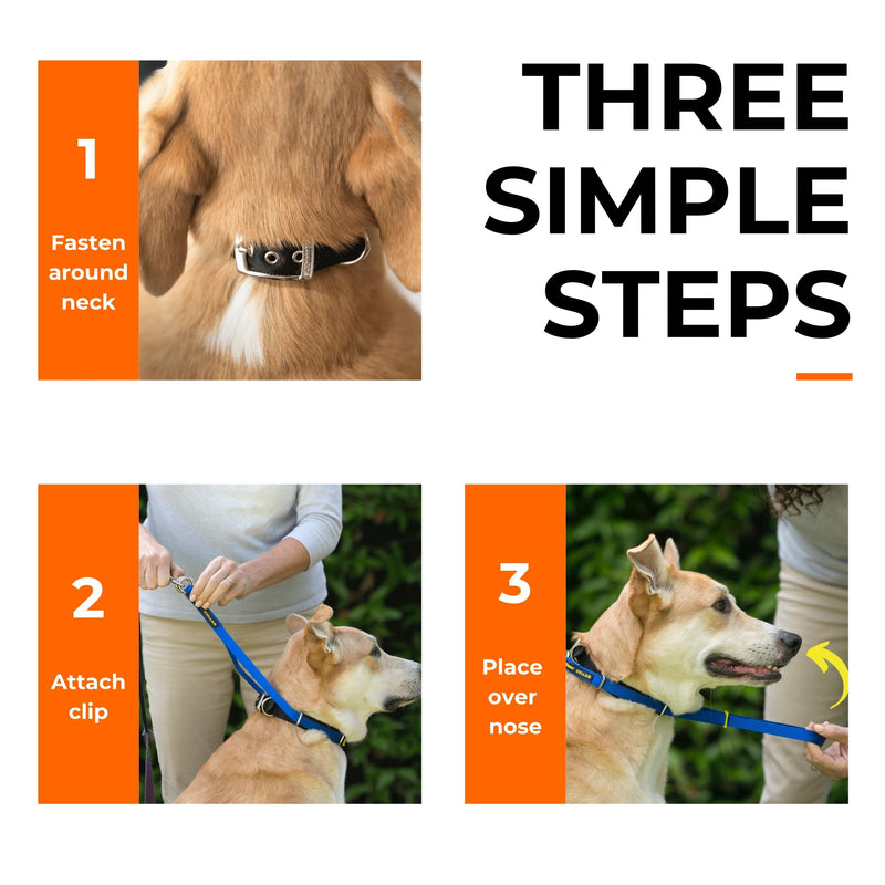 Canny Collar No-Pull Dog Head Collar | Gentle & Humane Leash Training Aid for Small Dogs | Stops Pulling – Comfortable Control for Walking & Obedience | Red, Size 2 11-13in neck - Size 2 - PawsPlanet Australia