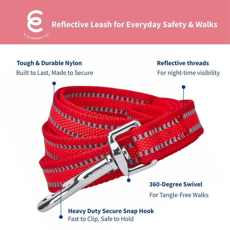 Blueberry Pet Essentials Reflective Better Basics Dog Leash, Rouge Red, 5 ft x 3/4", Medium, Leashes for Dogs - PawsPlanet Australia