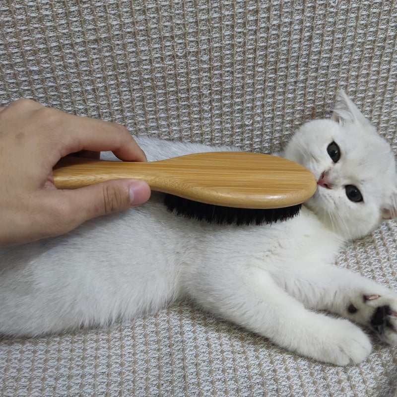 Cat & Dog Brush with Boar Bristle, Professional Grade Daily Grooming Hairbrush for Soft Hair and Healthy Shine, Short Haired Dogs Hair Brush for Reducing Shedding with Brush Cleaner - PawsPlanet Australia