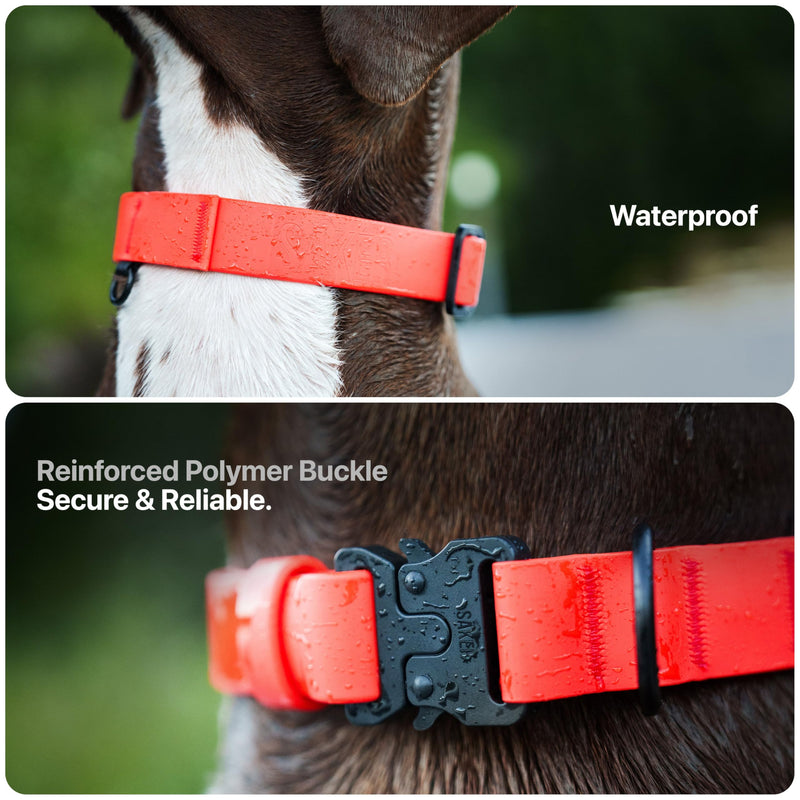 Säker Waterproof Dog Collar - Adjustable Lightweight Dog Collars for Medium Dogs - 1 Inch Durable Medium Dog Collar with Aluminum D-Ring, Daisy Chain and Quick-Release Buckle | Purple Dog Collar M Lilas - PawsPlanet Australia