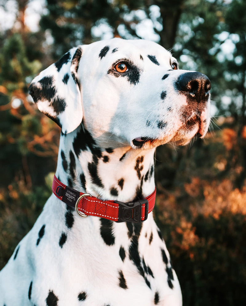 Reflective Dog Collar for Extra Large Dogs, Adjustable from 17-27 inches, Purple - PawsPlanet Australia