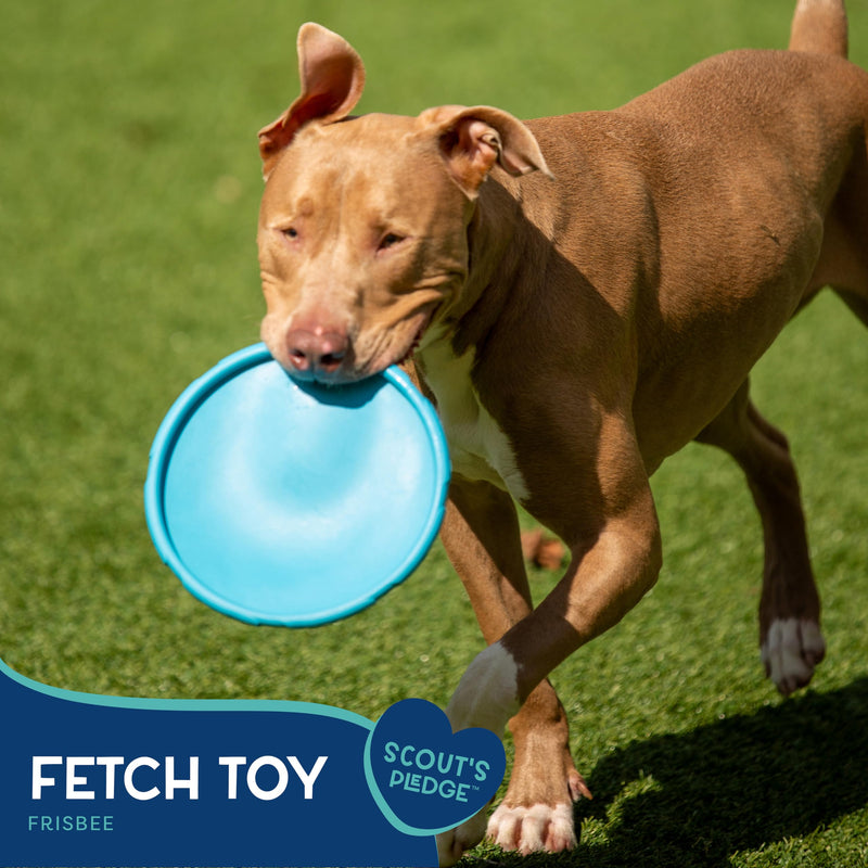 Good Scout Frisbee Dog Fetch Toy, Indoor and Outdoor Rubber Dog Toy for Medium and Large Dogs - PawsPlanet Australia