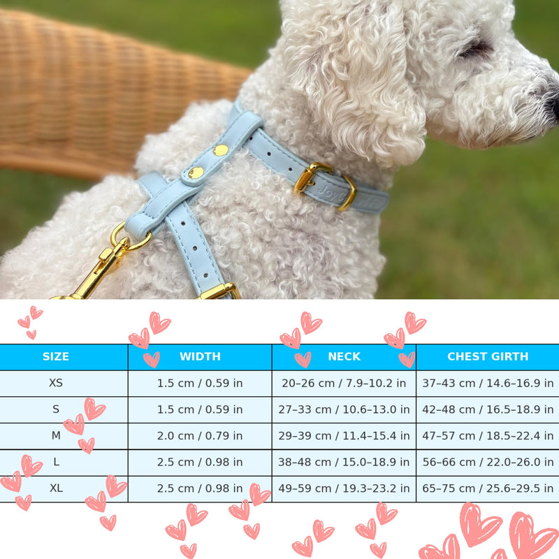 Luxury Dog Harness and Leash Set, Adjustable Padded Pet Harness for Small, to Large Dogs, No Pull H-Shaped Design with Handle, Premium Comfort and Control, Stylish Blue(S) Dog Harness. Small (S) - PawsPlanet Australia