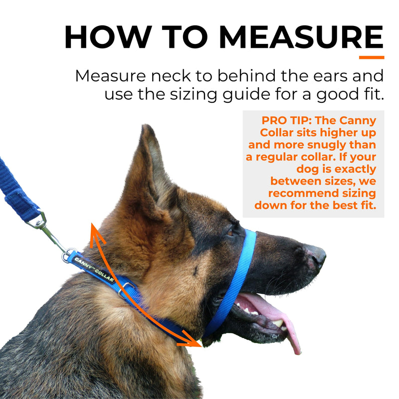 Canny Collar No-Pull Dog Headcollar | Train Your Dog To Stop Pulling & Walk On a Regular Collar & Loose Lead | Kind, Safe, Comfortable Training Aid | Purple – Size 4 Neck size 38-43cm - Size 4 - PawsPlanet Australia
