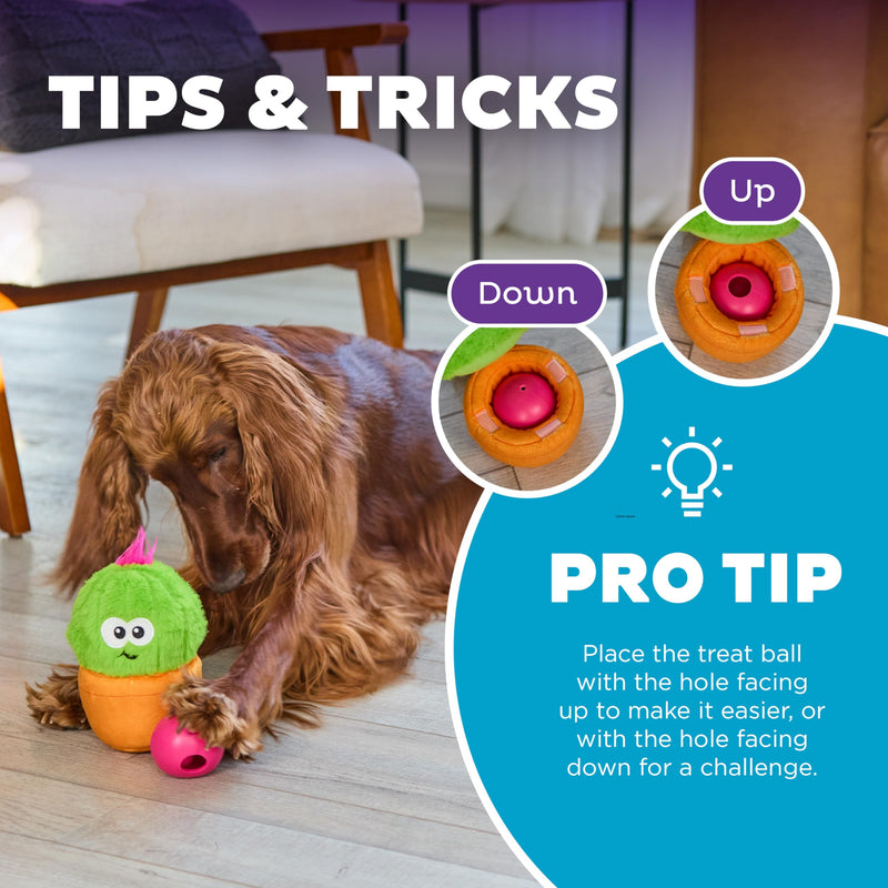 Outward Hound Nina Ottosson Snack Palz Interactive Plush Dog Puzzle with Treat Ball, Dog Enrichment Toys, Stuffable Dog Toy, Plush, Cactus, Green - PawsPlanet Australia