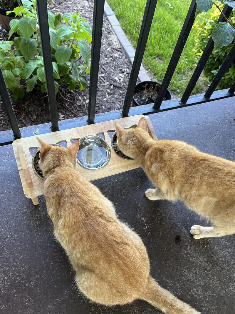 Elevated Cat Food Bowl, 3 Stainless Steel Raised Cat Bowls with Stand, 15°Tilted Cat Bowl for Small Dog, Cat Food and Water Bowl Set, Anti Vomitting, Whisker Fatigue and Dishwasher Safe - PawsPlanet Australia