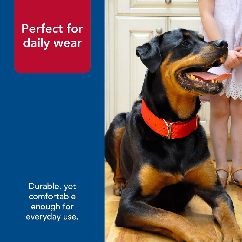 Coastal Pet Macho Dog Double-Ply Dog Collar with Roller Buckle - Comfortable & Durable Dog Collar - Heavy-Duty Dog Collar - Black, 20" 20" (Pack of 1)
