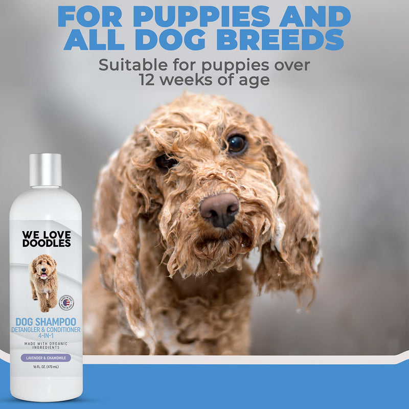We Love Doodles Dog Shampoo & Dog Grooming Scissors Kit - Perfect for At-Home Dog Groomers - PawsPlanet Australia